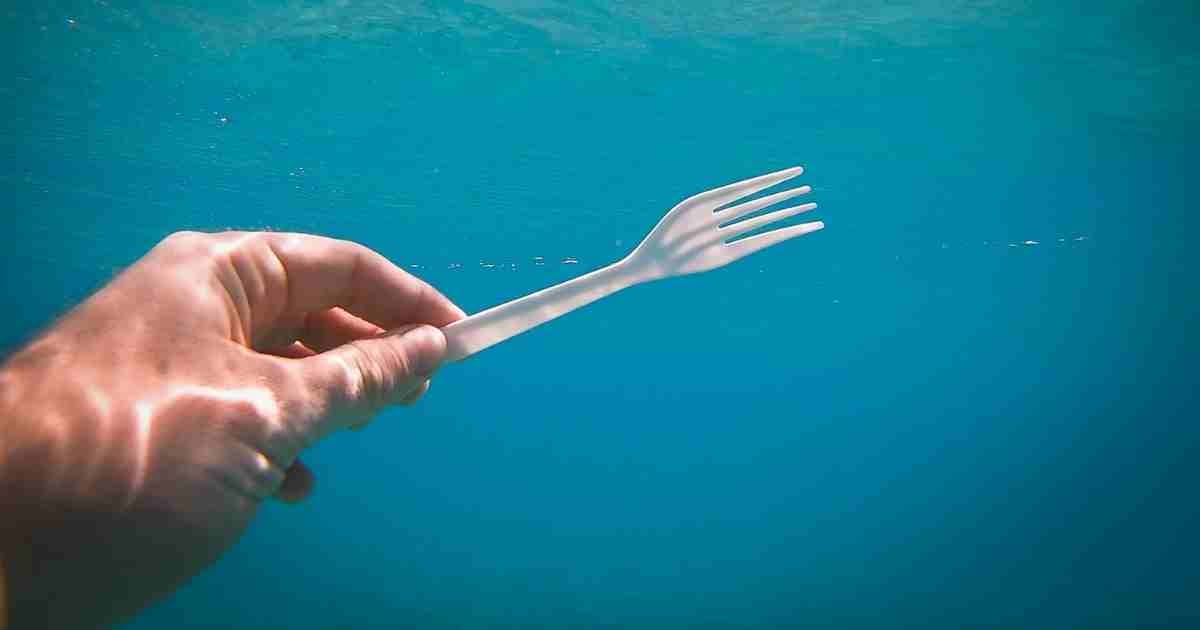 Person Holding A Plastic Fork Under Water