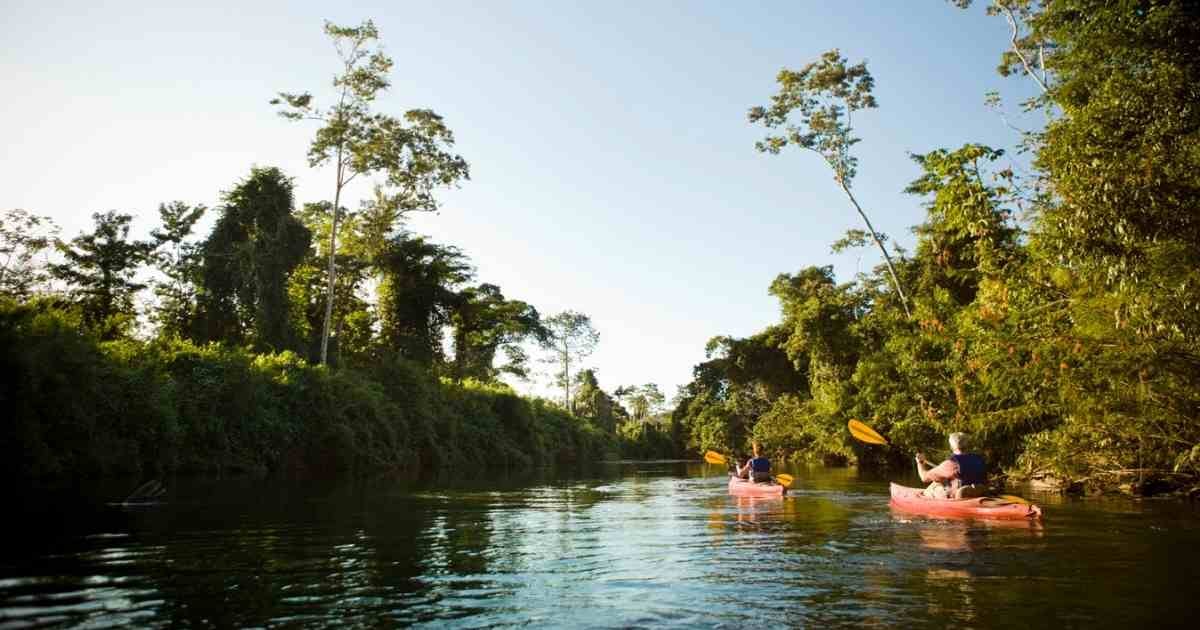 People Kayaking On A River In Belize