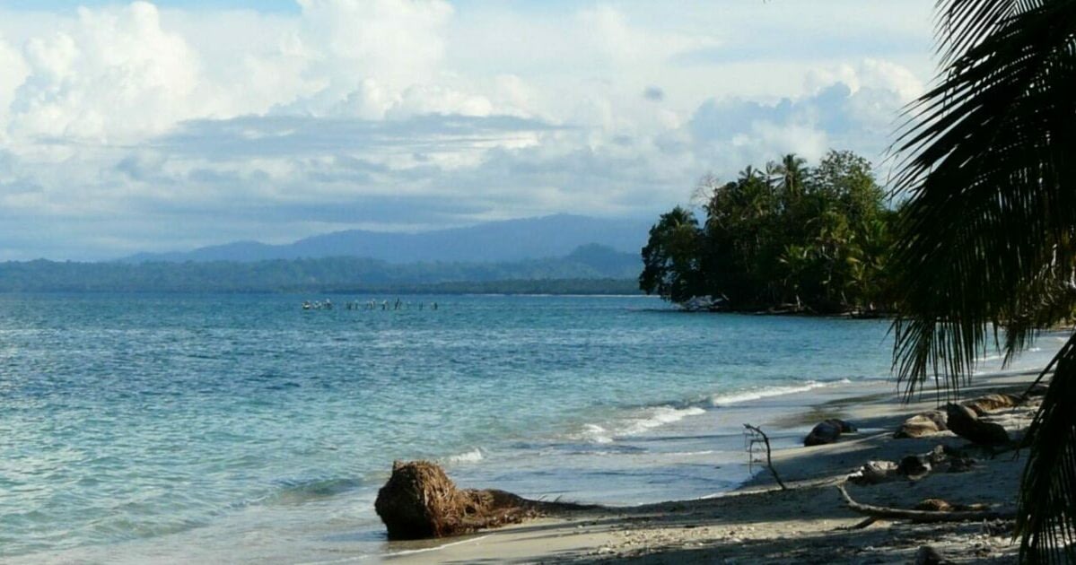 Top 5 Things to Do With the Family in Costa Rica 5 Beach with palm trees and blue sea