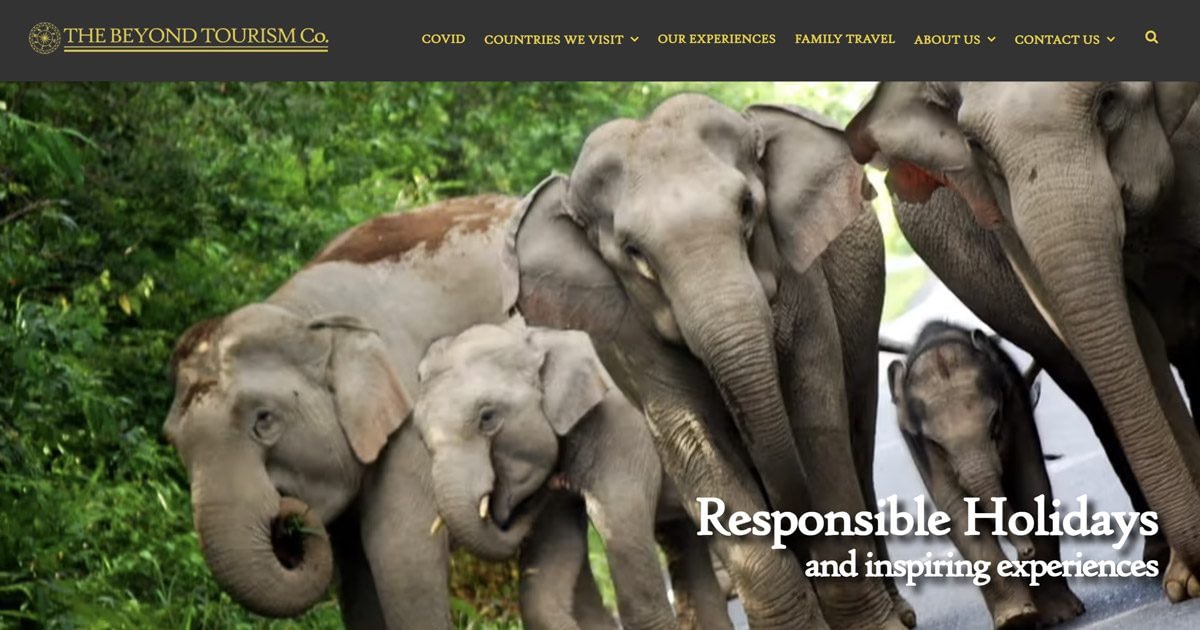 Beyond Tourism: The Welfare Sector Pinch