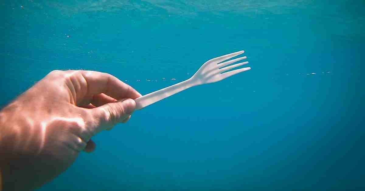 How To Be A Responsible Traveller 3 person holding a plastic fork under water