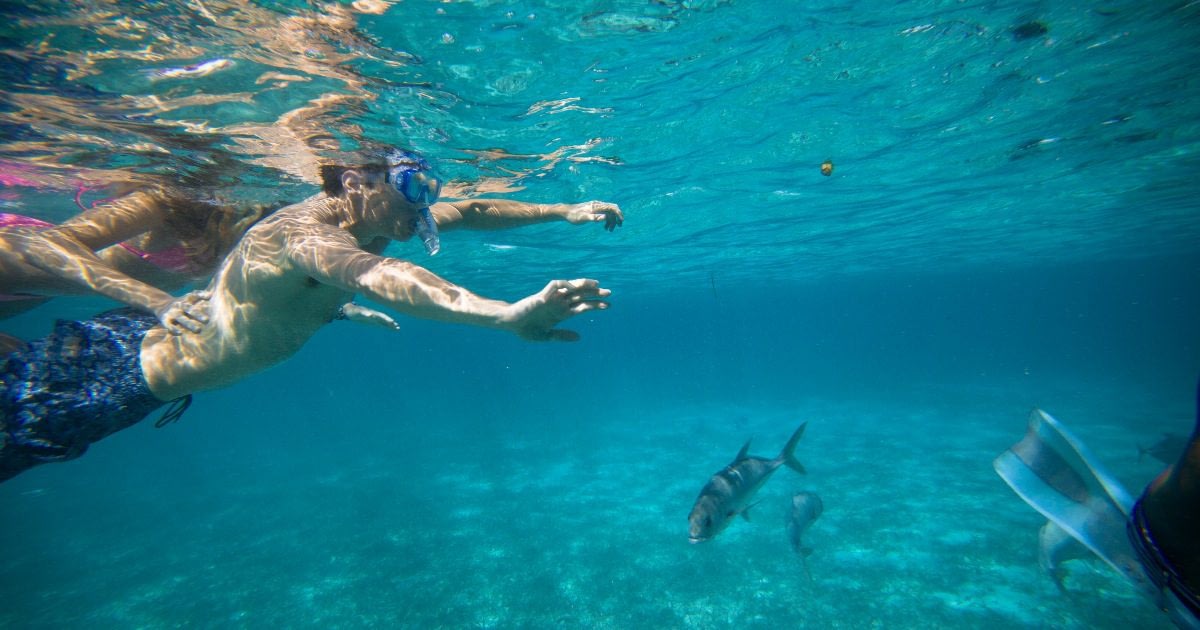 Top 10 Items to Take on a Long Haul Trip 2 Man snorkelling with fish