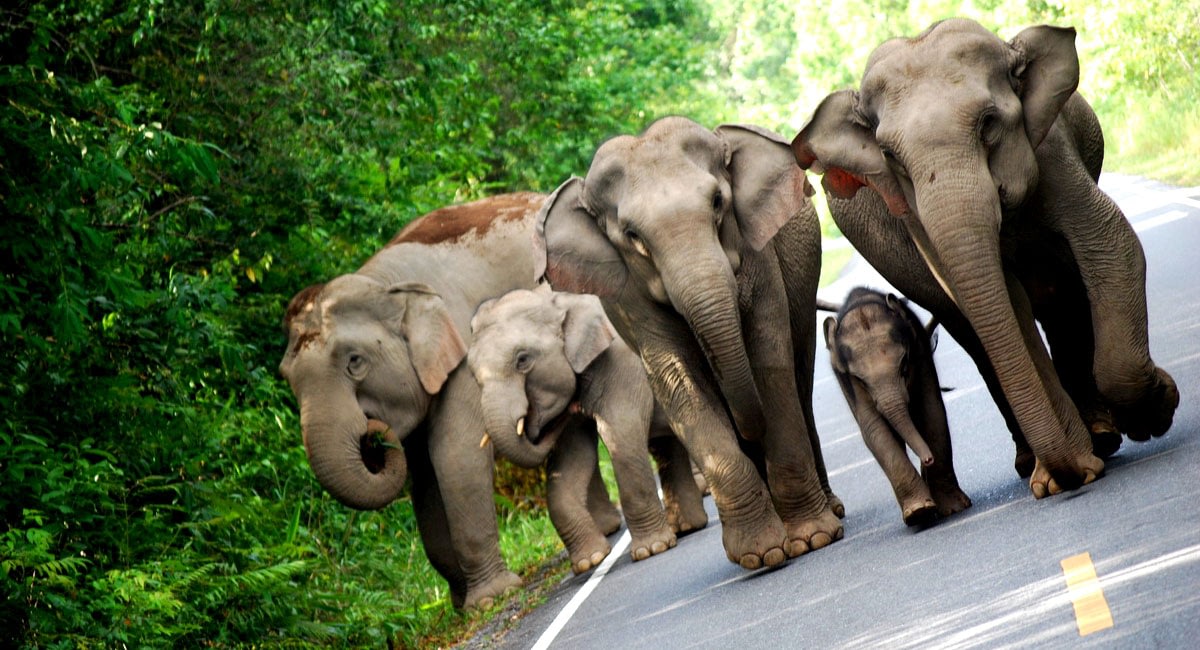 october half term holidays Beyond Tourism