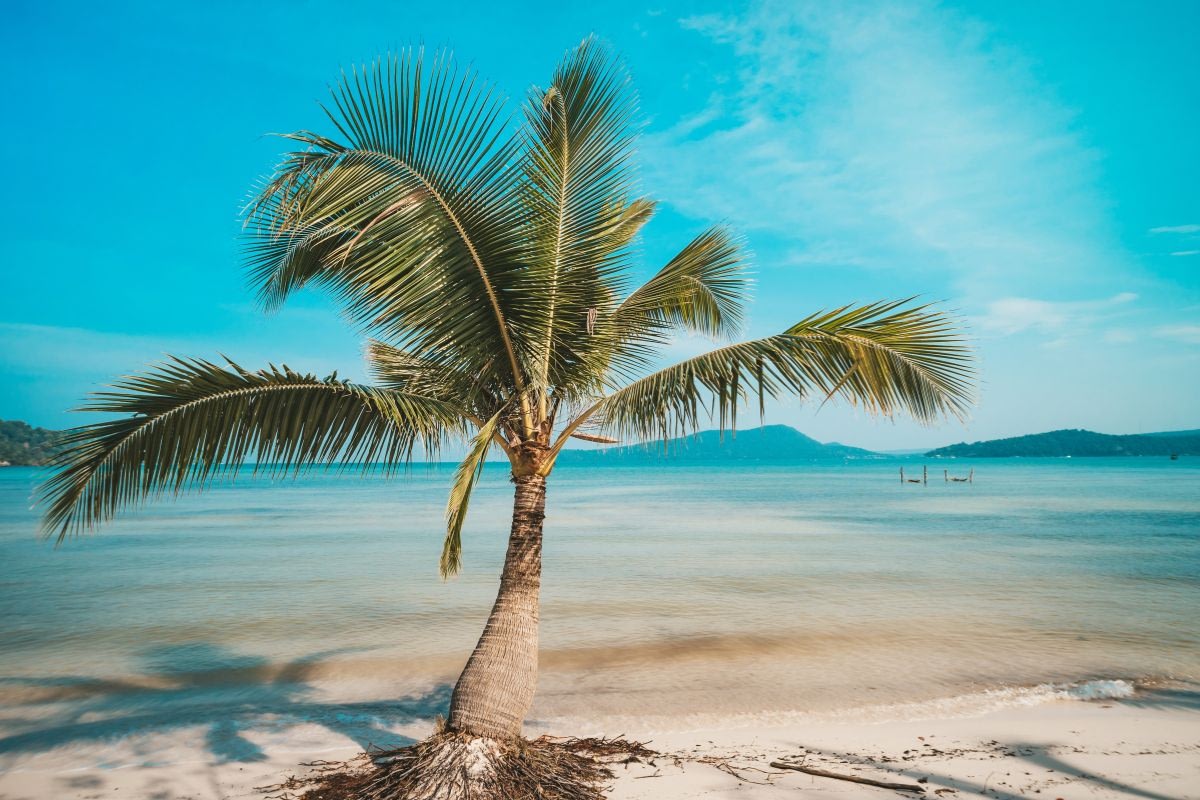 5 Amazing Seaside Stays for Thalassophiles 3 amazing seaside stays Beyond Tourism