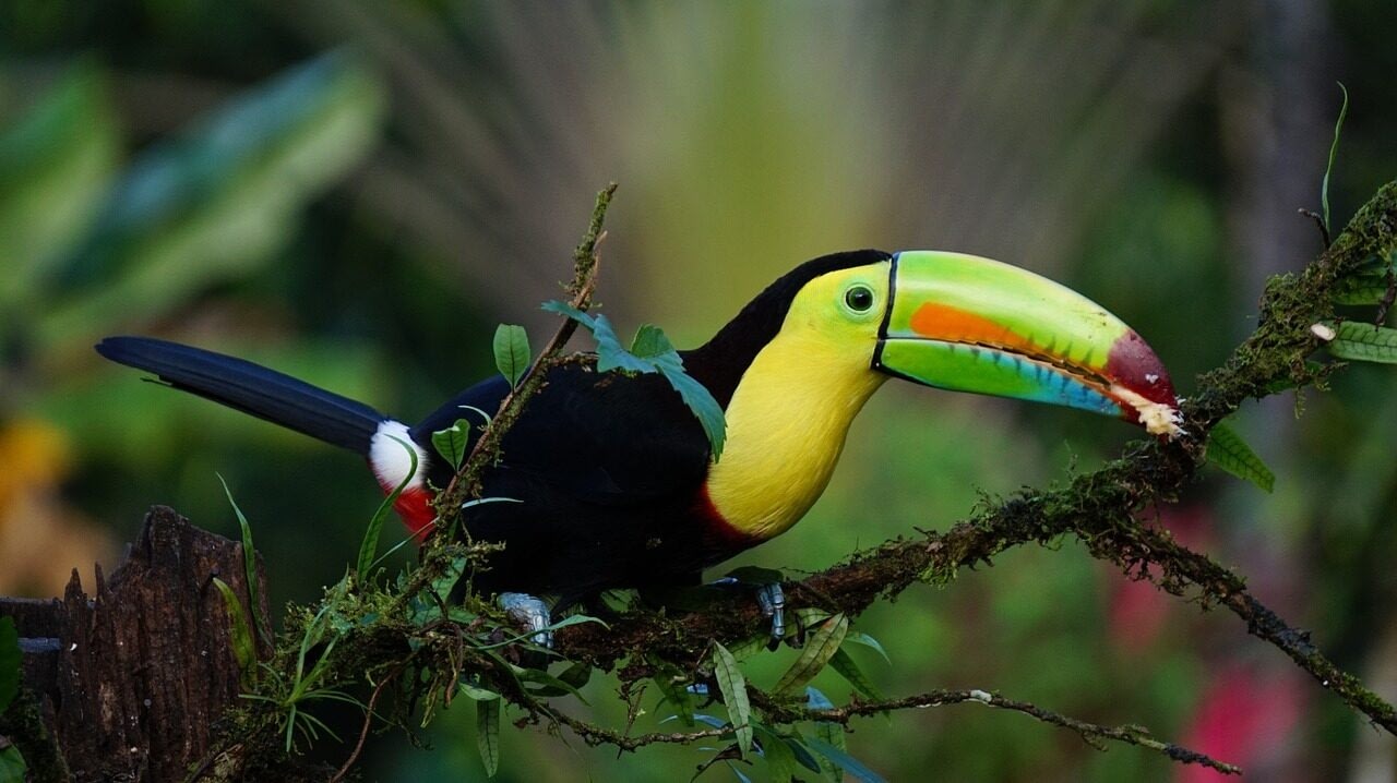 7 Reasons Costa Rica Ticks All The Boxes For Intergenerational Travel 2026-2027 2 intergenerational travel Beyond Tourism