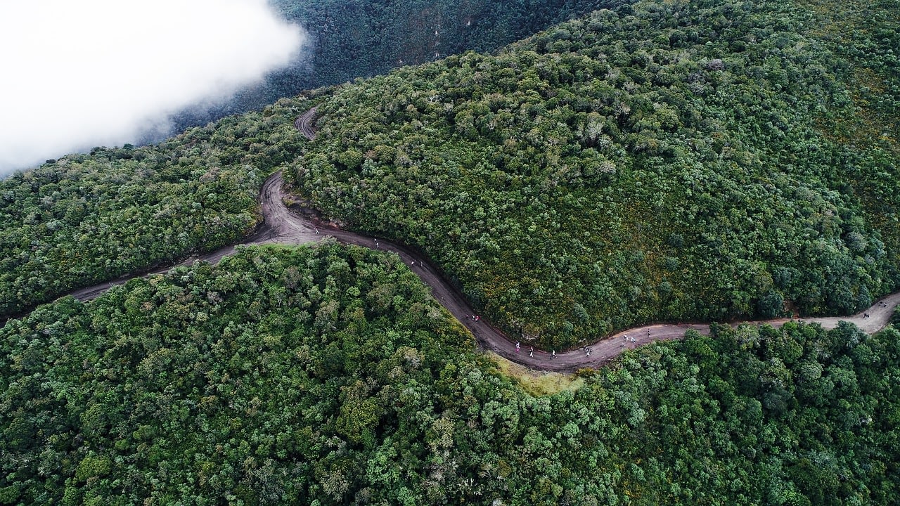 Ecuador: The Country Where Nature Has Legal Rights Ecuador: The Country Where Nature Has Legal Rights