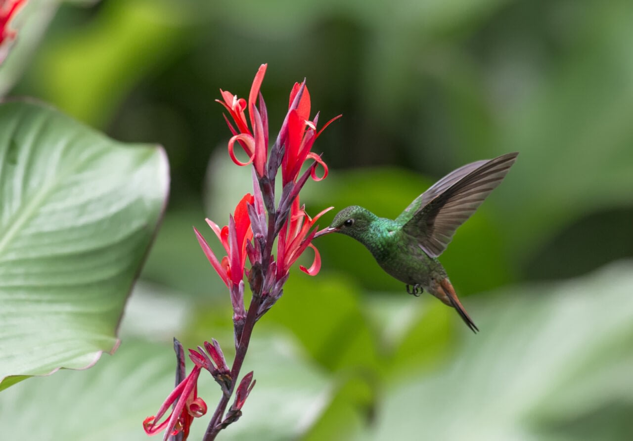 7 Reasons Costa Rica Ticks All The Boxes For Intergenerational Travel 2026-2027 4 intergenerational travel Beyond Tourism