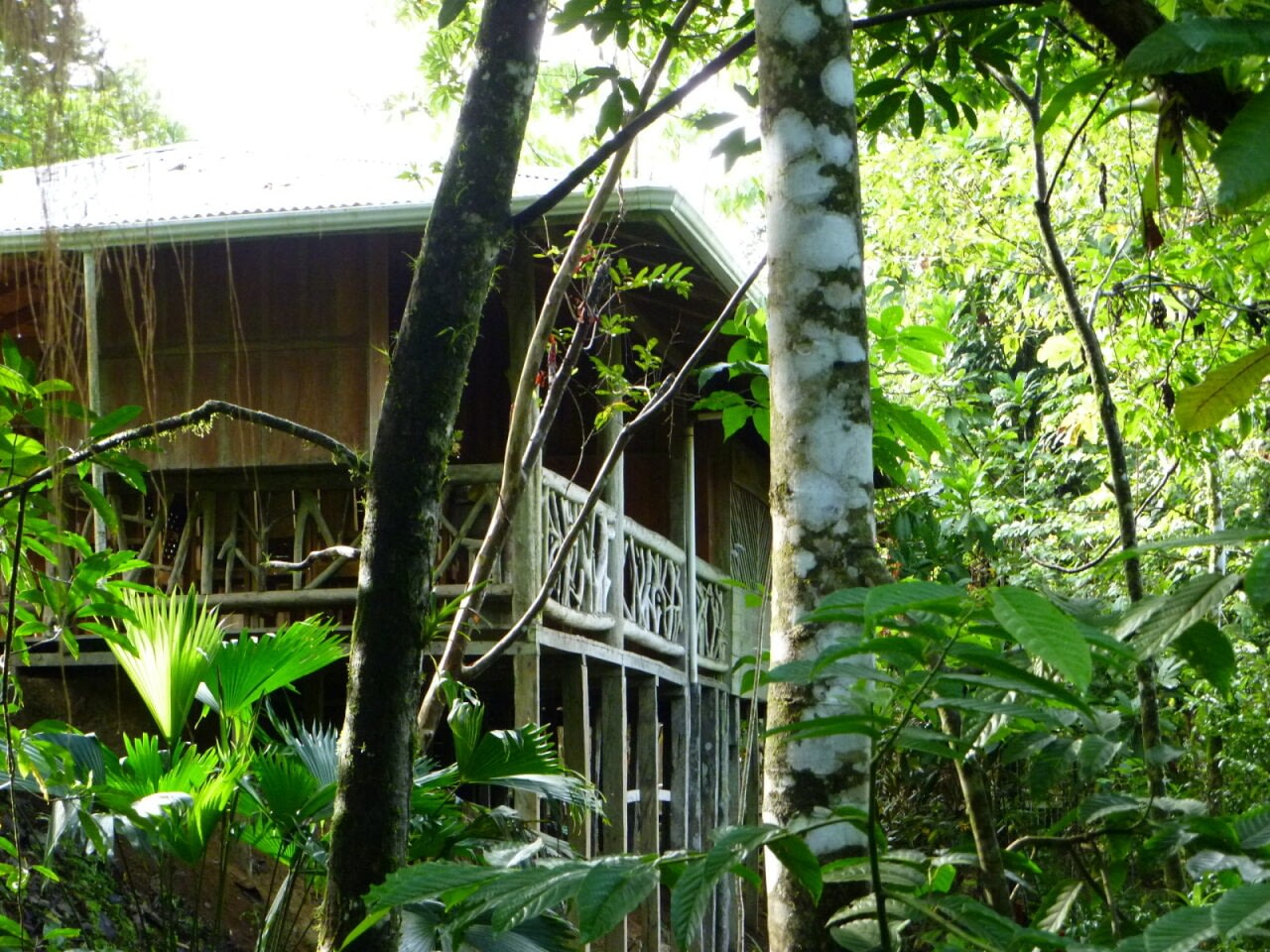 7 Reasons Costa Rica Ticks All The Boxes For Intergenerational Travel 2026-2027 6 intergenerational travel Beyond Tourism