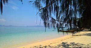 Elephants Jungle & Beach Holiday 11 two week thailand holiday Beyond Tourism