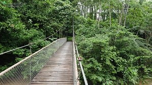 Caribbean Explorer 6 Costa Rica caribbean holiday Beyond Tourism