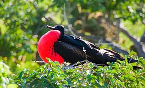 Ecuador & the Galapagos 1 Beyond Tourism