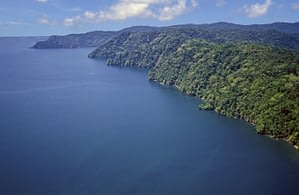 Wildlife Holiday In Costa Rica Beyond Tourism