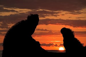 Galapagos land holiday Beyond Tourism