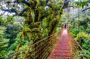 Two Week Costa Rica Holiday Beyond Tourism