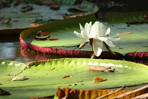 Colombia Highlights 7 colombia highlights Beyond Tourism