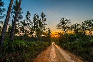 Beyond Tourism