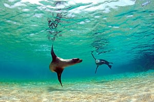 Ecuador & the Galapagos 13 Beyond Tourism