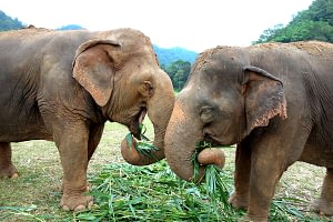 Highlights of Thailand Holiday 9 thailand highlights holiday Beyond Tourism