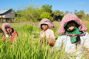 Cambodia Uncovered Holiday 4 two week cambodia holiday Beyond Tourism