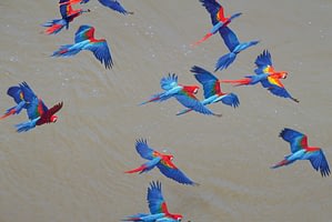Inca Life & Amazon Adventures 8 cultural peru holiday Beyond Tourism