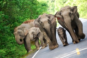 Thailand Highlights 5 thailand highlights Beyond Tourism