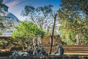 Sri Lanka Explorer 4 Sri Lanka Two Week Itinerary Beyond Tourism