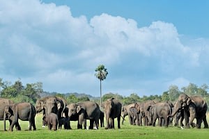 Sri Lanka family itinerary Beyond Tourism
