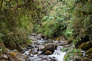 Costa Rica Highlights 11 highlights of costa rica Beyond Tourism