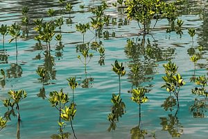 Highlights of Vietnam Holiday 11 vietnam highlights holiday Beyond Tourism