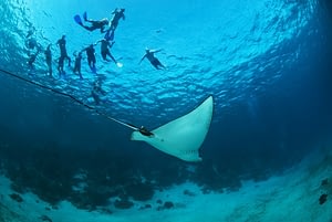 Belize Explorer 9 two week belize holiday Beyond Tourism