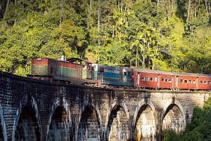 Sri Lanka Family Highlights 9 Sri Lanka family highlights Beyond Tourism