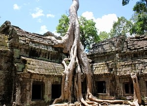 highlights of Cambodia Beyond Tourism