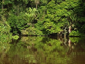 Caribbean Explorer 3 Costa Rica caribbean holiday Beyond Tourism