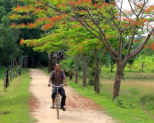 Cambodia Cycling Holiday Beyond Tourism