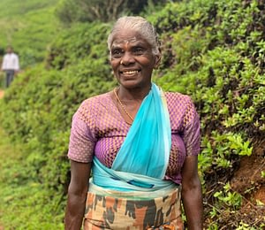 Sri Lanka Family Highlights 8 Sri Lanka family highlights Beyond Tourism