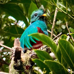 Wildlife Holiday In Costa Rica Beyond Tourism