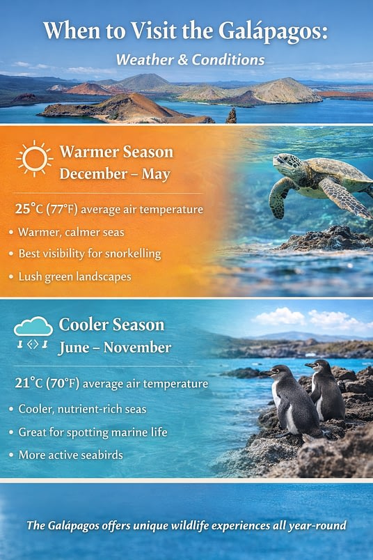 The Ultimate Guide to Wildlife Holidays on the Galápagos Islands 8 The Ultimate Guide to Wildlife Holidays on the Galápagos Islands Beyond Tourism