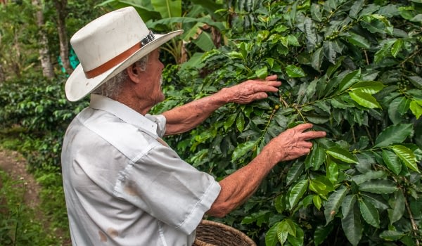 colombia experiences Beyond Tourism