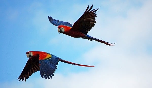 guatemala experiences Beyond Tourism