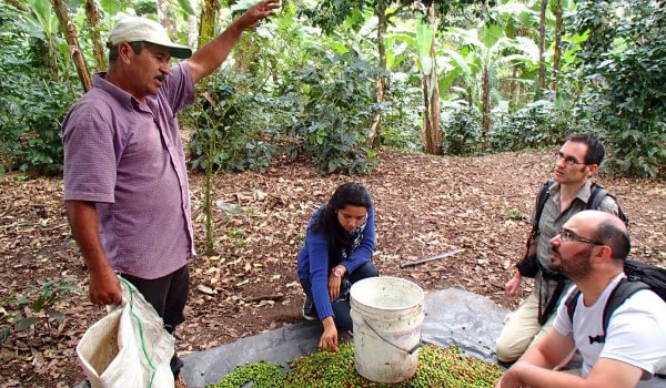 Nicaragua Coffee nicaragua experiences Beyond Tourism