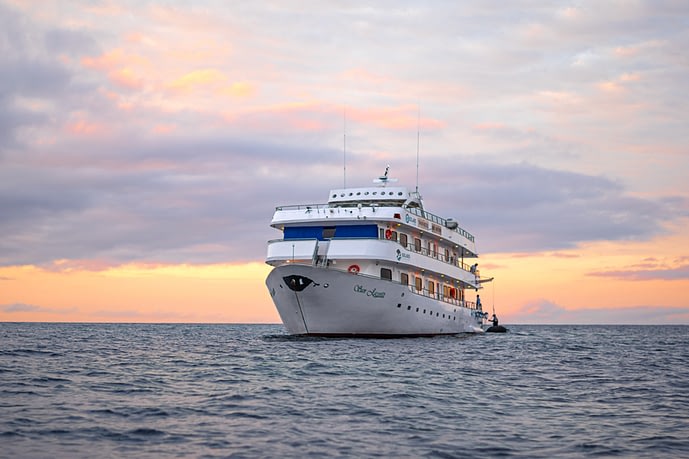 The Ultimate Guide to Wildlife Holidays on the Galápagos Islands 4 The Ultimate Guide to Wildlife Holidays on the Galápagos Islands Beyond Tourism
