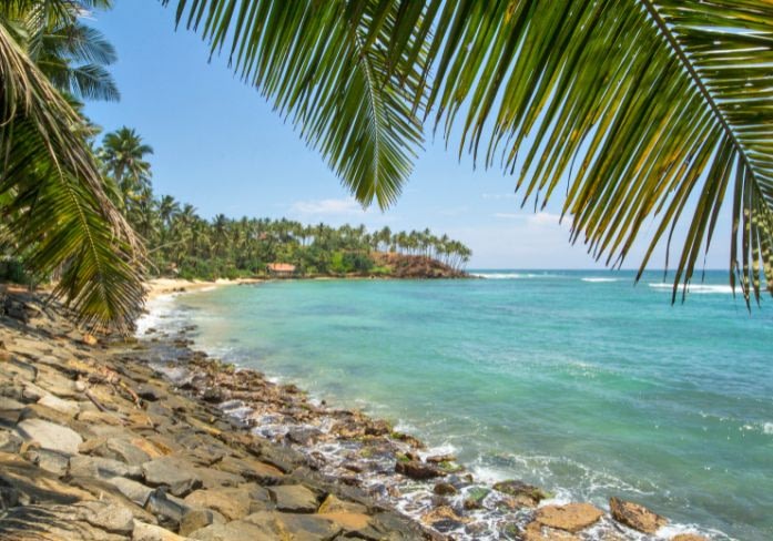 We've Launched Sri Lanka! 5 reasons to visit sri lanka Beyond Tourism