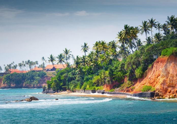 beach with palm trees in sri lanka