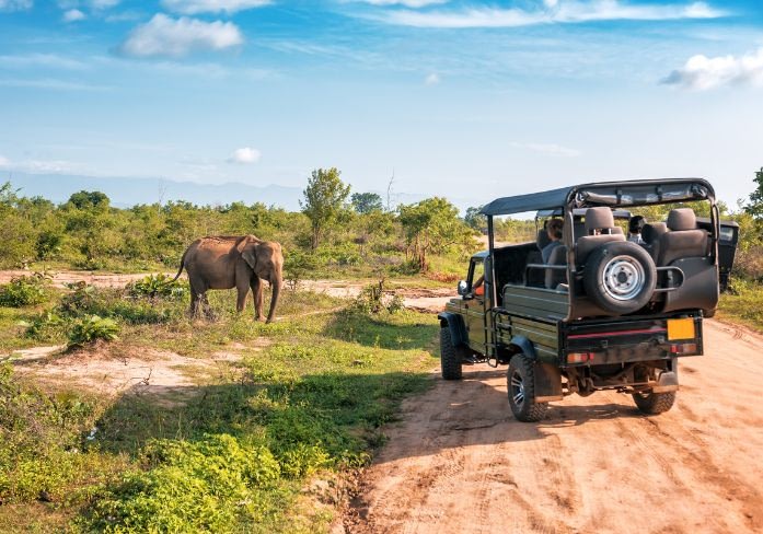 We've Launched Sri Lanka! 4 reasons to visit sri lanka Beyond Tourism