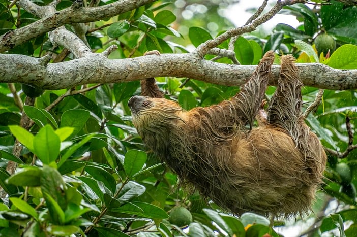 Slow Travel in Central America: Travel That Nourishes the Soul 1 Slow travel in Central America Beyond Tourism