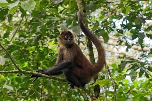 Slow Travel in Central America: Travel That Nourishes the Soul 6 Slow travel in Central America Beyond Tourism