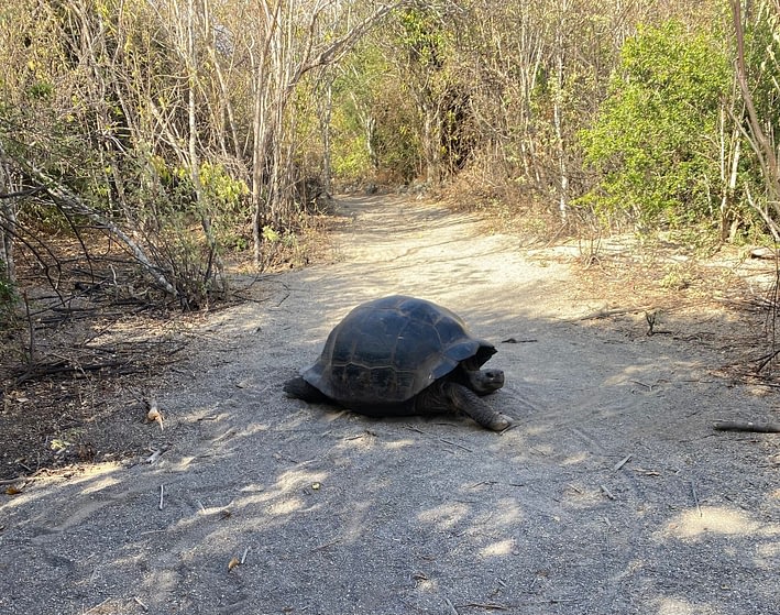 Ecuador: The Country Where Nature Has Legal Rights 7 Ecuador: The Country Where Nature Has Legal Rights Beyond Tourism