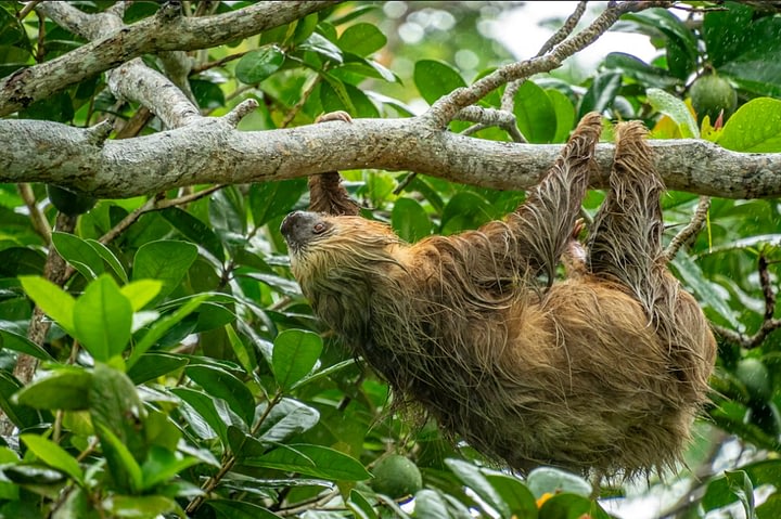 Slow Travel in Central America: Travel That Nourishes the Soul