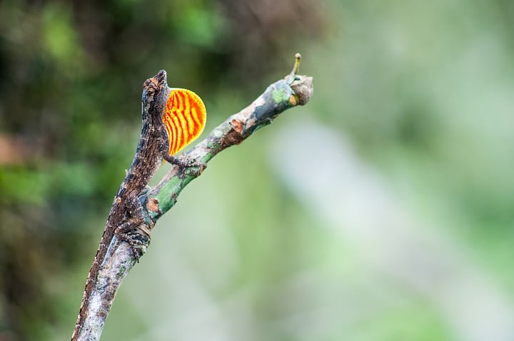 Ecuador: The Country Where Nature Has Legal Rights 3 Ecuador: The Country Where Nature Has Legal Rights Beyond Tourism