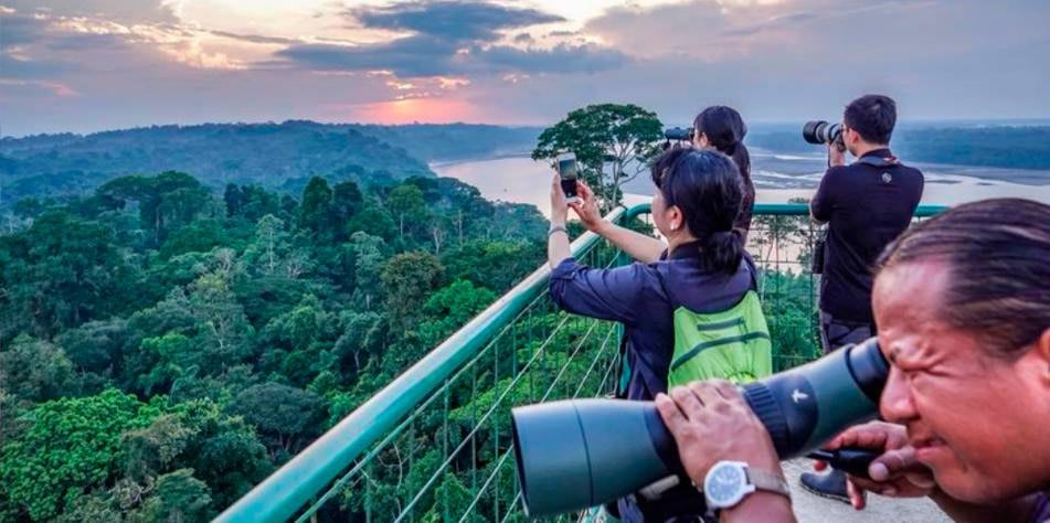 Wild at Heart: Your Dream Wildlife Bucket List for 2024 4 wildlife bucket list Beyond Tourism